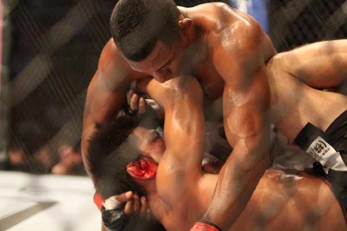 「UFC142」(2012年・ブラジル)の画像