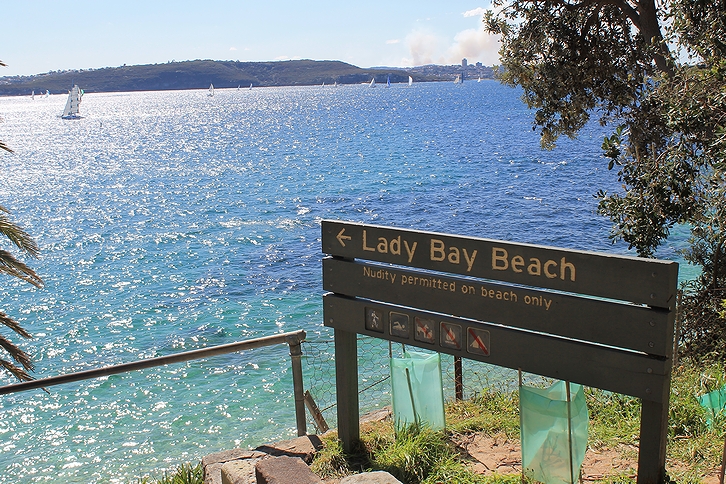 オーストラリア・シドニーの海水浴場“レディー・ジェーン”こと「レディー・ベイ・ビーチ」(2012年)の画像