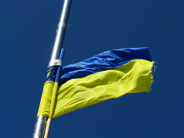 ウクライナの国旗(2008年)の画像