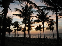 メキシコ・キンタナローのカリブ海の揺らぎを見据える渚「プラヤ・デル・カルメン」の早暁(2004年)