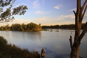 「オーストラリア最長の河川」として名が挙がったオーストラリアの河川「マレー川」と「ダーリング川」の合流地点(2009年)の画像