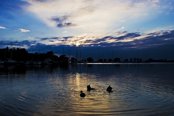 北アイルランド「ネイ湖」の日没(2012年)の画像
