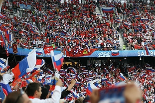 サッカー「ユーロ2008」におけるロシア代表チームとギリシャ代表チームの試合の観客席に翻るロシア国旗(2008年・ドイツ)の画像