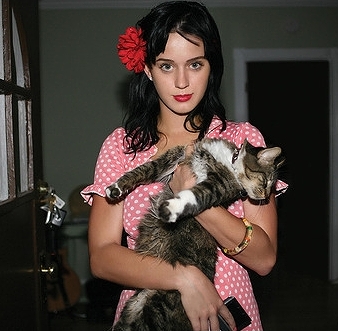 飼い猫の「キティ・パリー」を抱いたケイティ・ペリーの画像