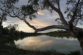 ファイル:マレー川,オーストラリア Murray River 514125019.jpg
