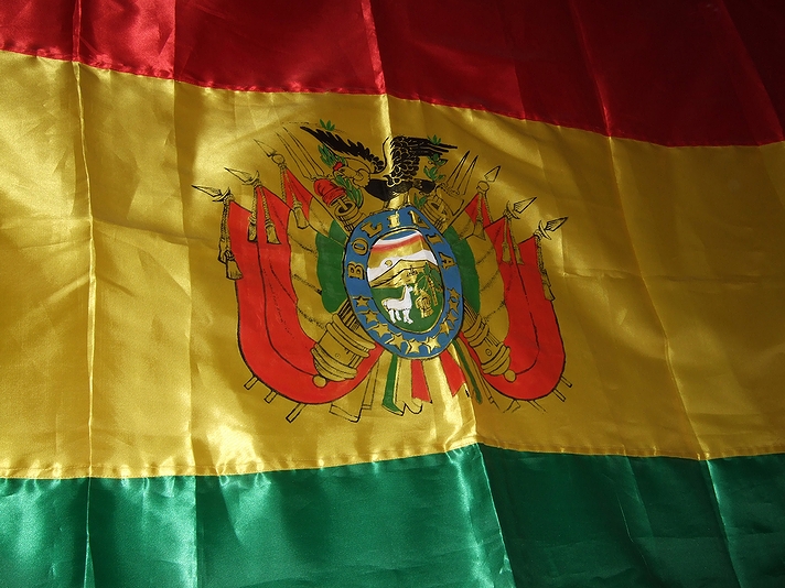 ボリビアの国旗(2008年)の画像