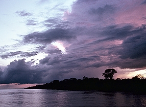 ブラジルを流れる「世界屈指の知名度を持つ河川」の一例として挙がったアマゾン川(1982年)の画像