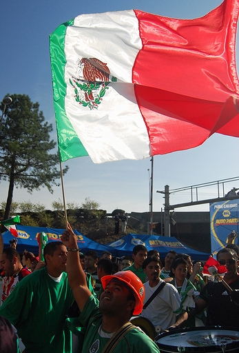 サッカーのメキシコ対アイスランド戦にてメキシコ国旗を掲げるサポーター(2010年・米国バンクオブアメリカスタジアム)の画像
