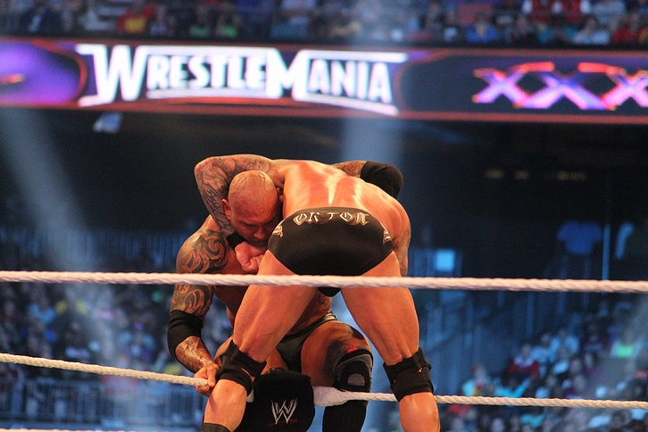 プロレスラーのバティスタとランディ・オートン(2014年・WWE・「レッスルマニア30」)の画像