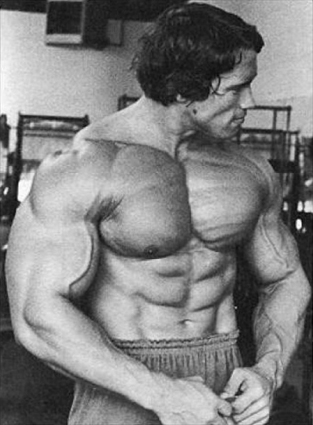 ファイル:アーノルド・シュワルツェネッガー bodybuilding-arnold-schwarzenegger-Picture-12.jpg