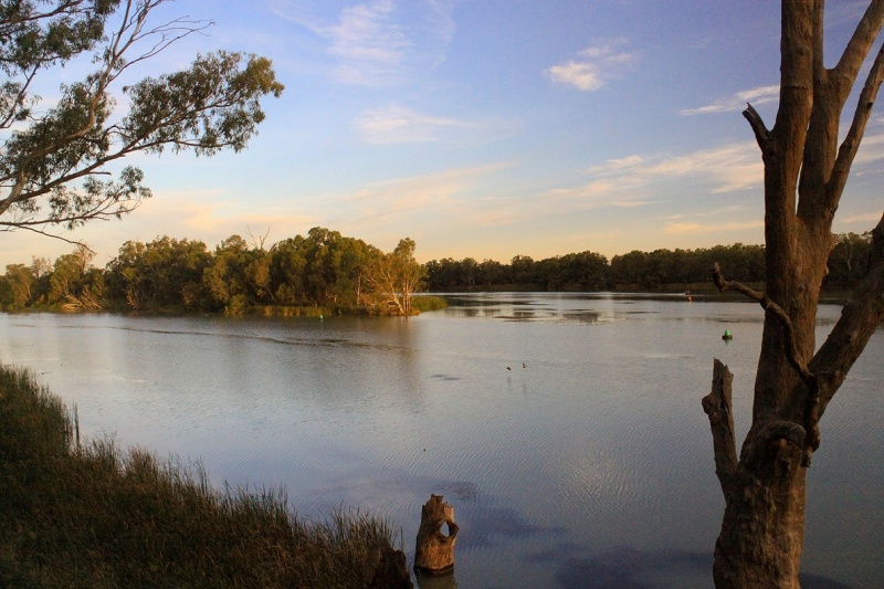 ファイル:Junction - Murray and Darling rivers 5556776459.jpg