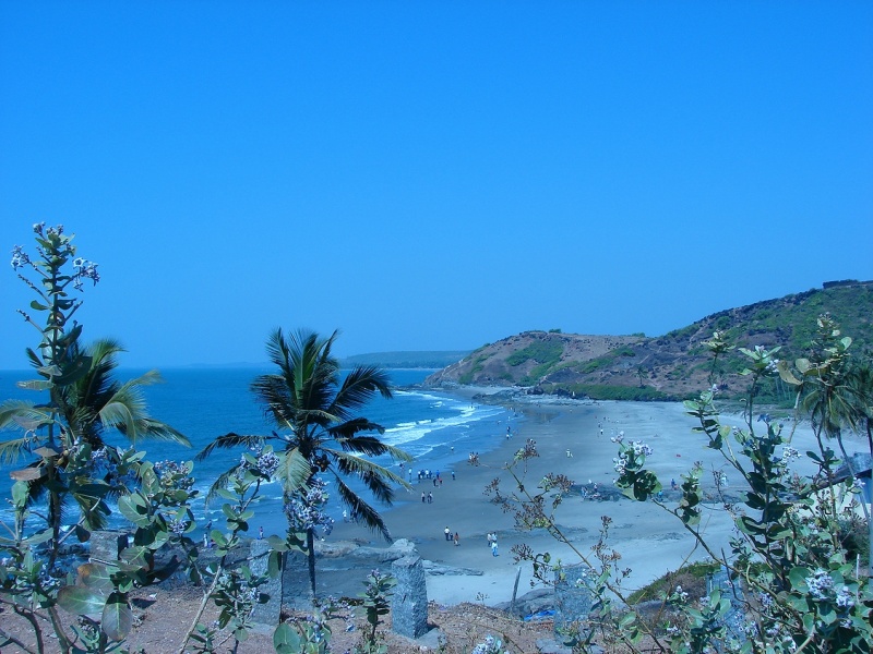 ファイル:vagator beach 2263229328.jpg