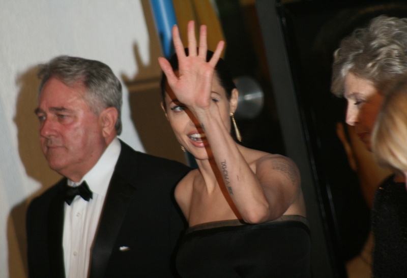 ファイル:angelina jolie 3095460827.jpg