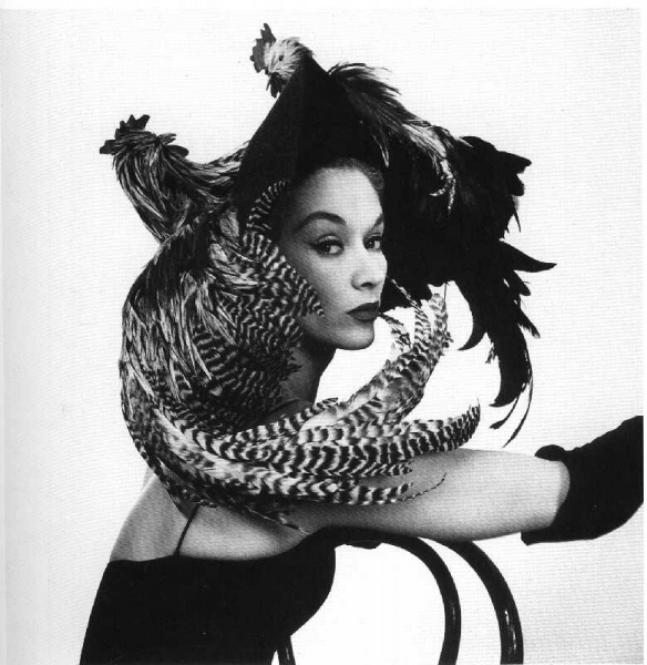 ファイル:リサ・フォンサグリーブス Lisa Fonssagrives-Penn 5124485325.jpg