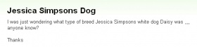 『ジェシカ・シンプソンの犬』