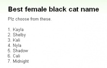 翻訳『メスの黒猫に最適な名前』