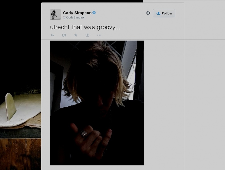 ファイル:CodySimpson on Twitter 597518294413942786.jpg